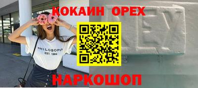 apvp Аша