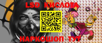 apvp Аша
