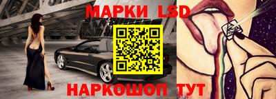 apvp Аша