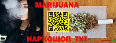 apvp Аша