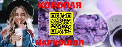 apvp Аша