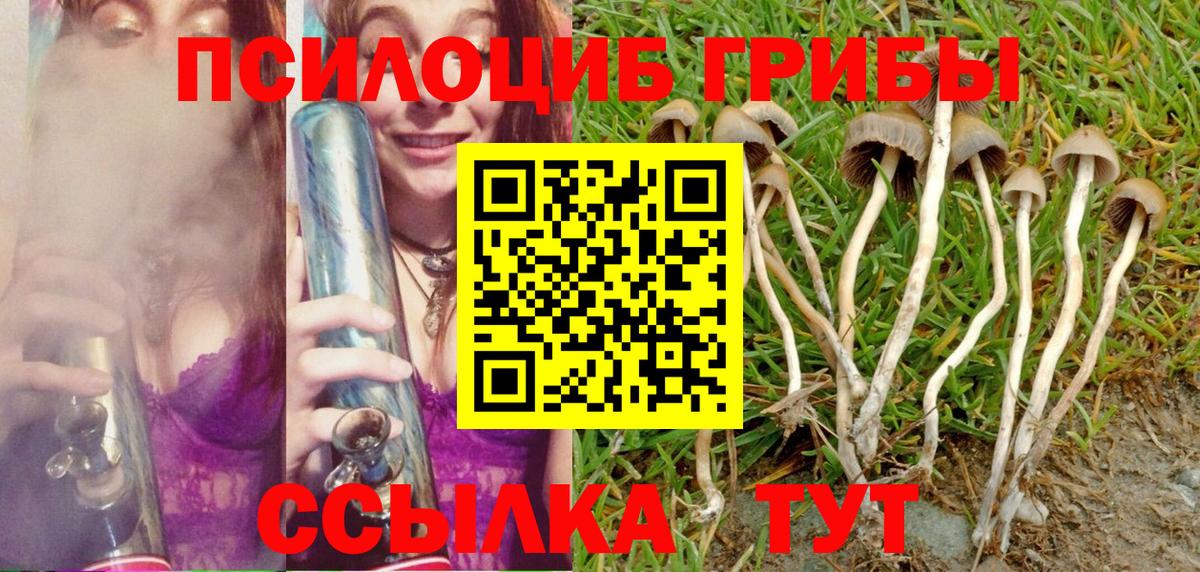 Галлюциногенные грибы Cubensis Вологда