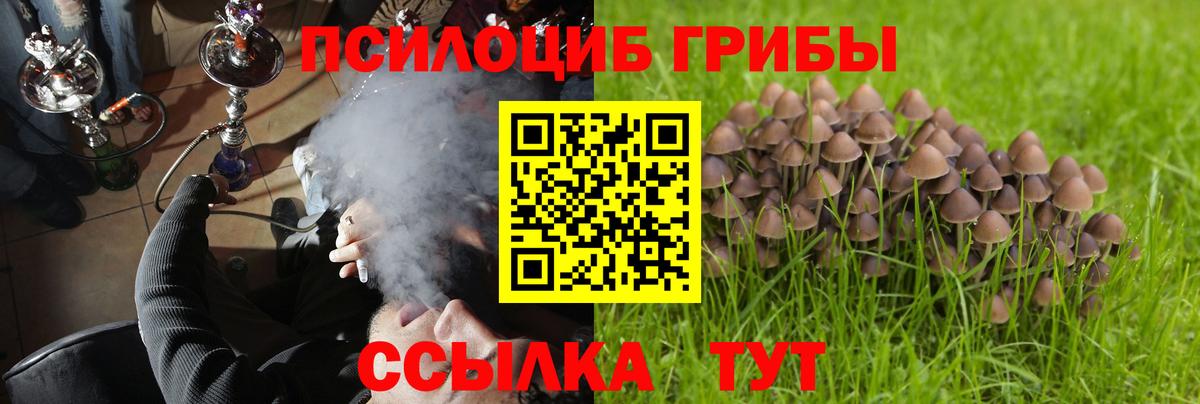 Вологда  Псилоцибиновые грибы MAGIC MUSHROOMS  Галлюциногенные грибы Psilocybe  Вход с VPN 