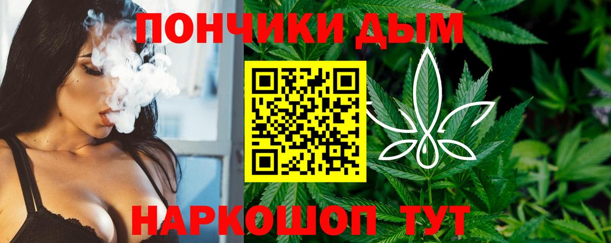 Канабис Bruce Banner  Канабис план  Вход с VPN  Вологда  Бошки марихуана индика 